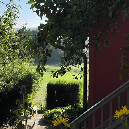 Mohnrot - Fulgenhaus Klein Bollhagen